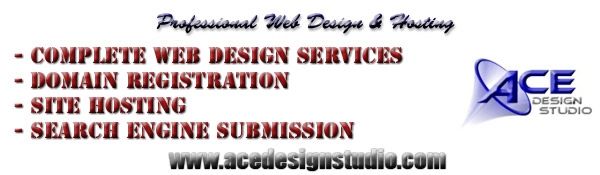 Your professional web design and hosting company